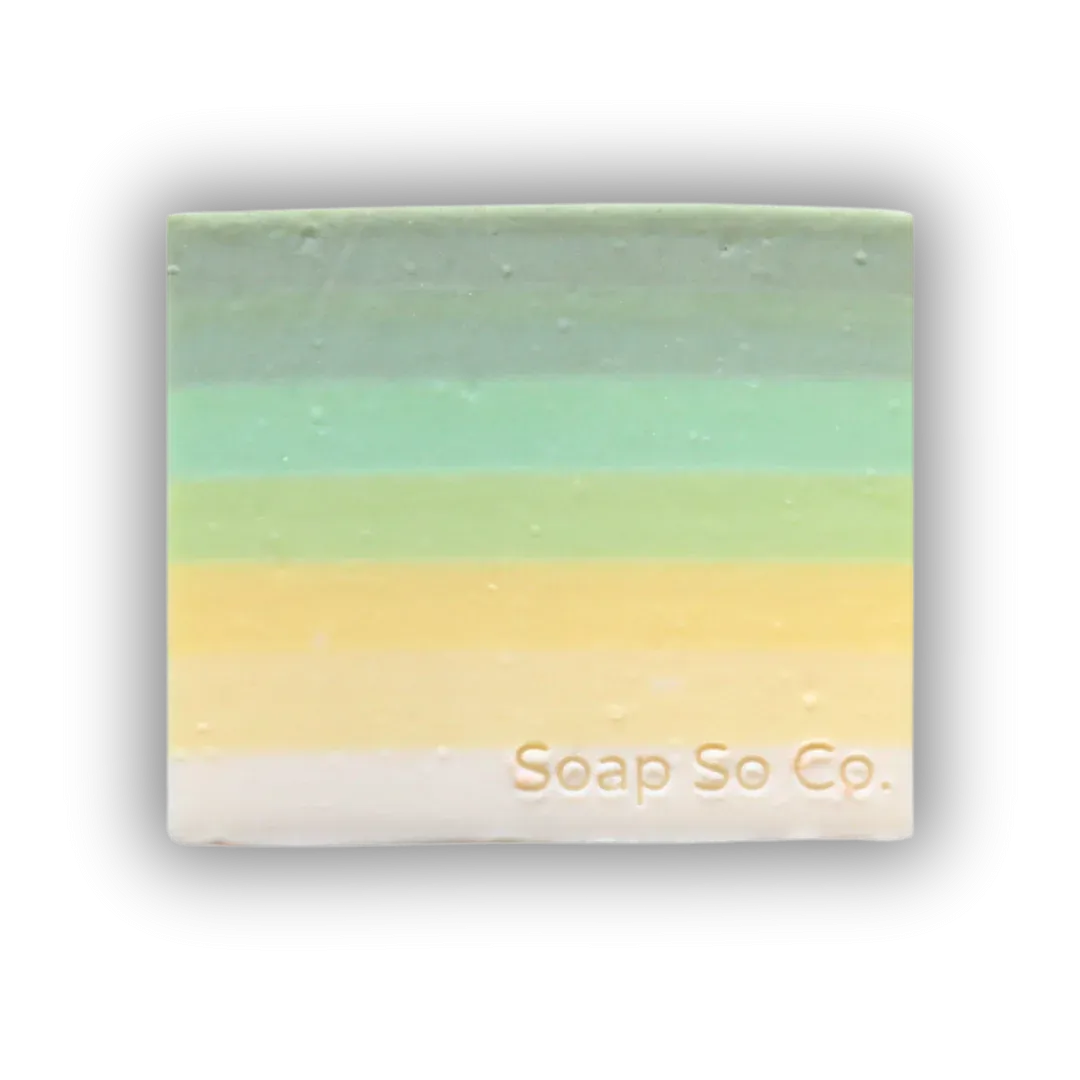 Bar Soap (Assorted Scents)