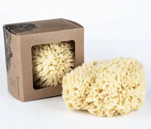 Bath Sea Sponge Gift Box