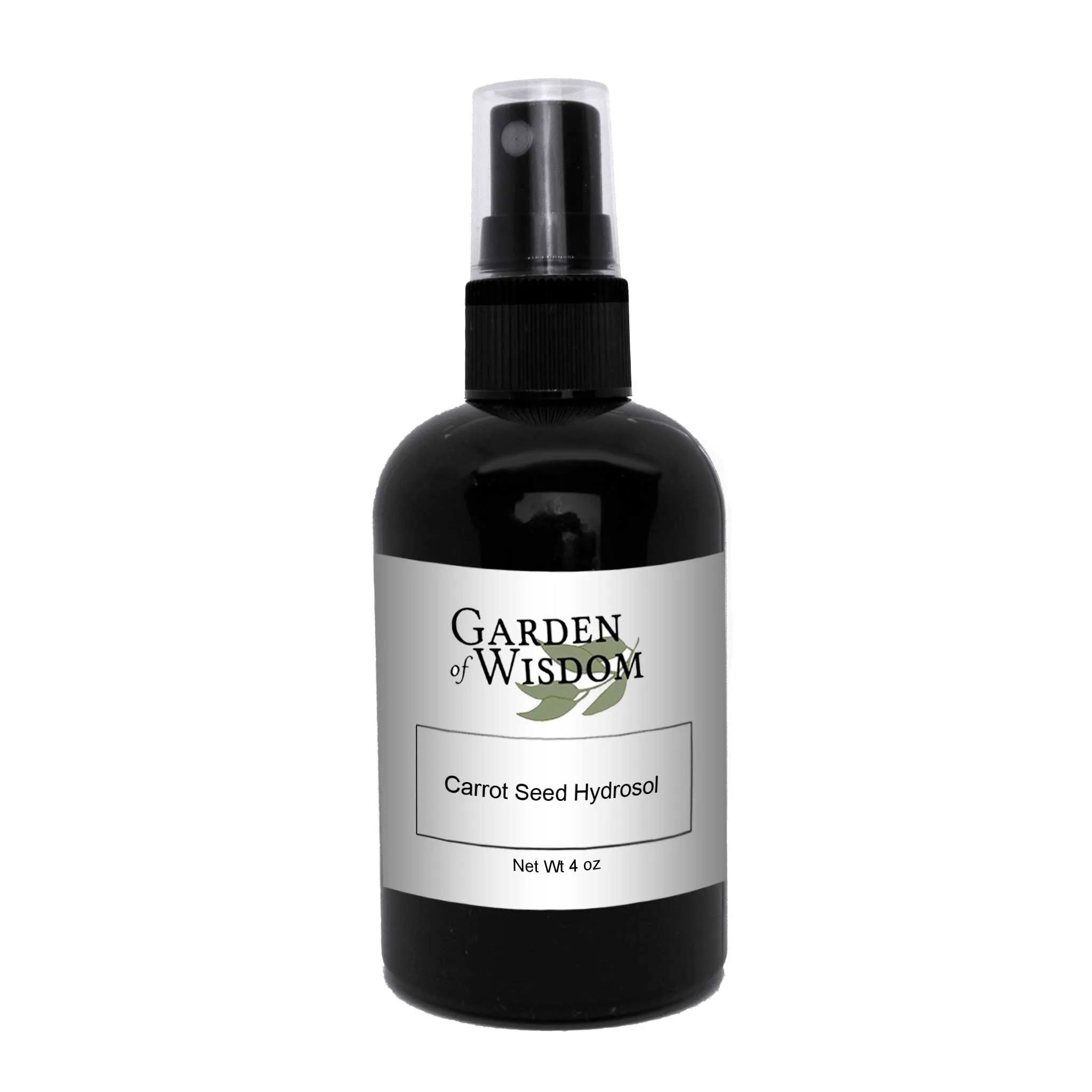 Carrot Seed Hydrosol