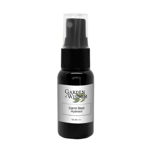 Carrot Seed Hydrosol