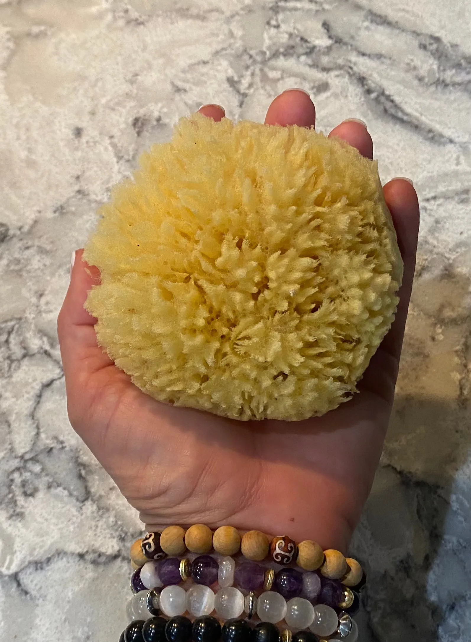 Florida Sea Sponge
