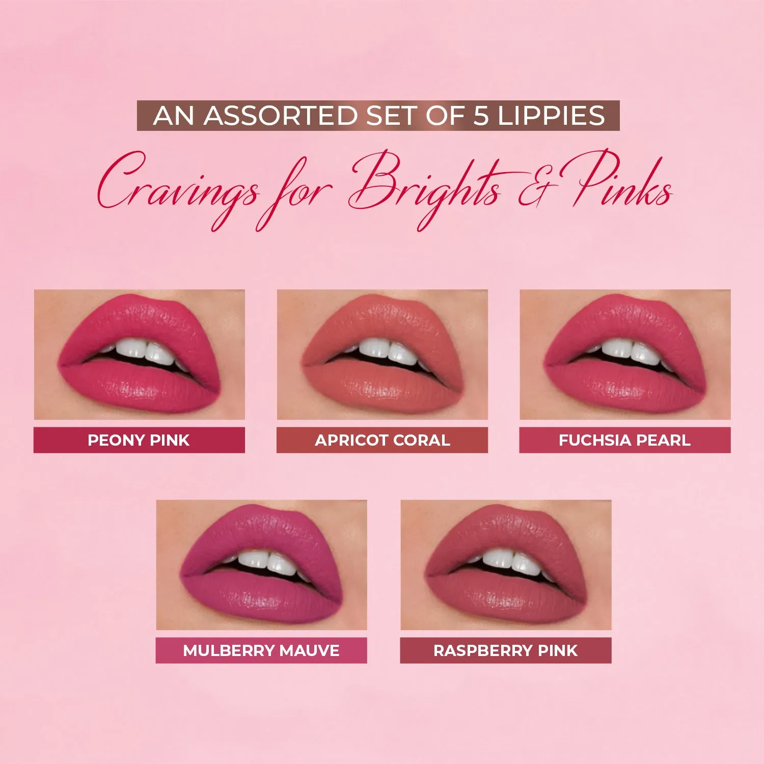 Herb-enriched Matte Liquid Lipstick Combo (Deeps & Reds   Brights & Pinks)