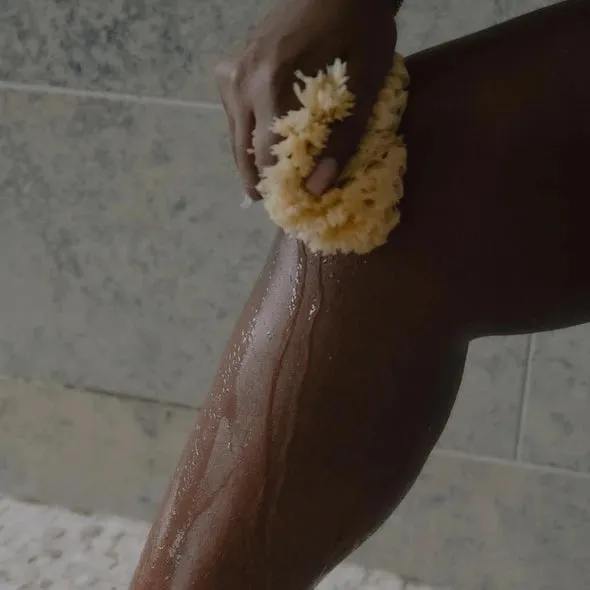 Natural Sea Sponge
