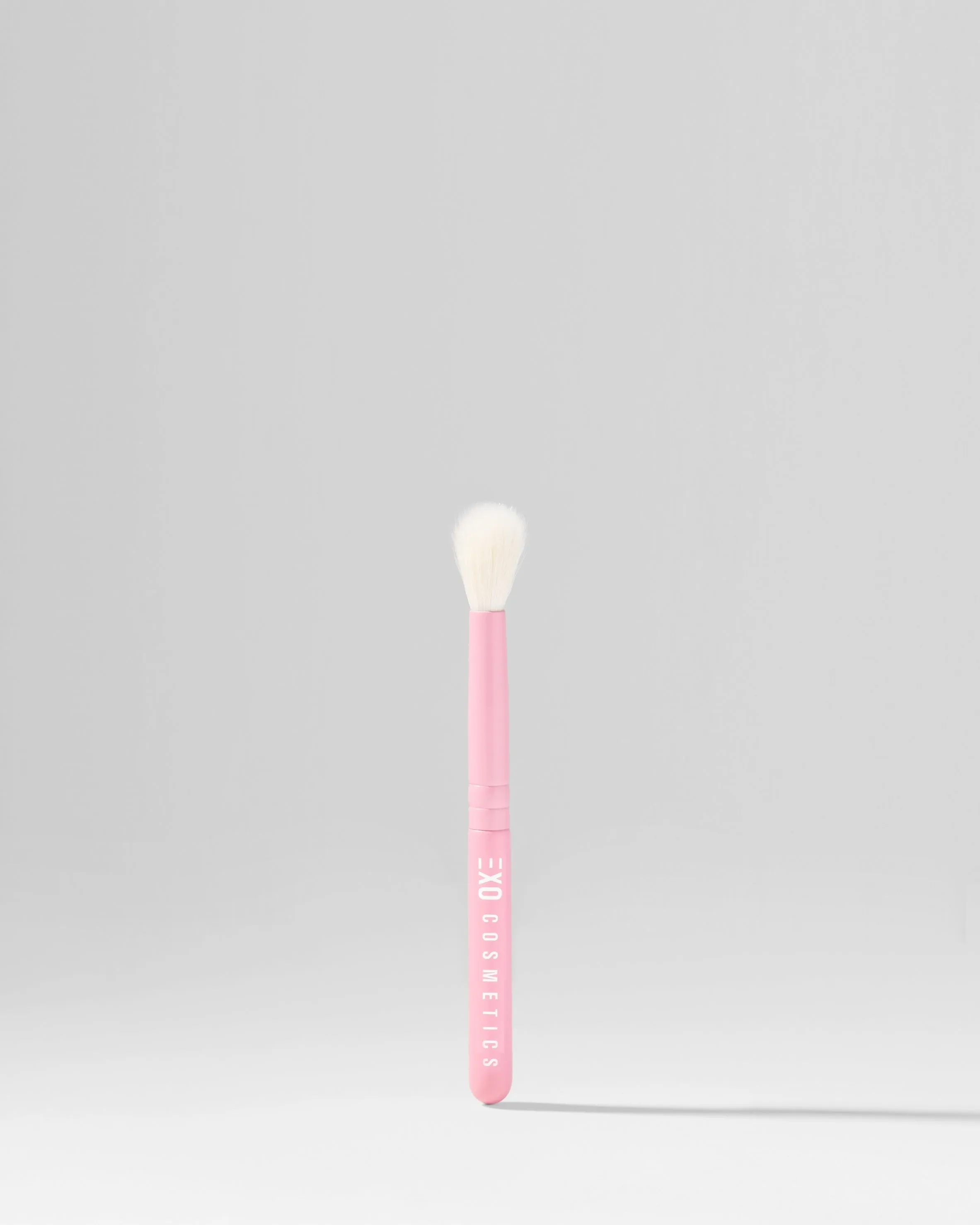 PASSENGER PRINCESS MINI BRUSH SET