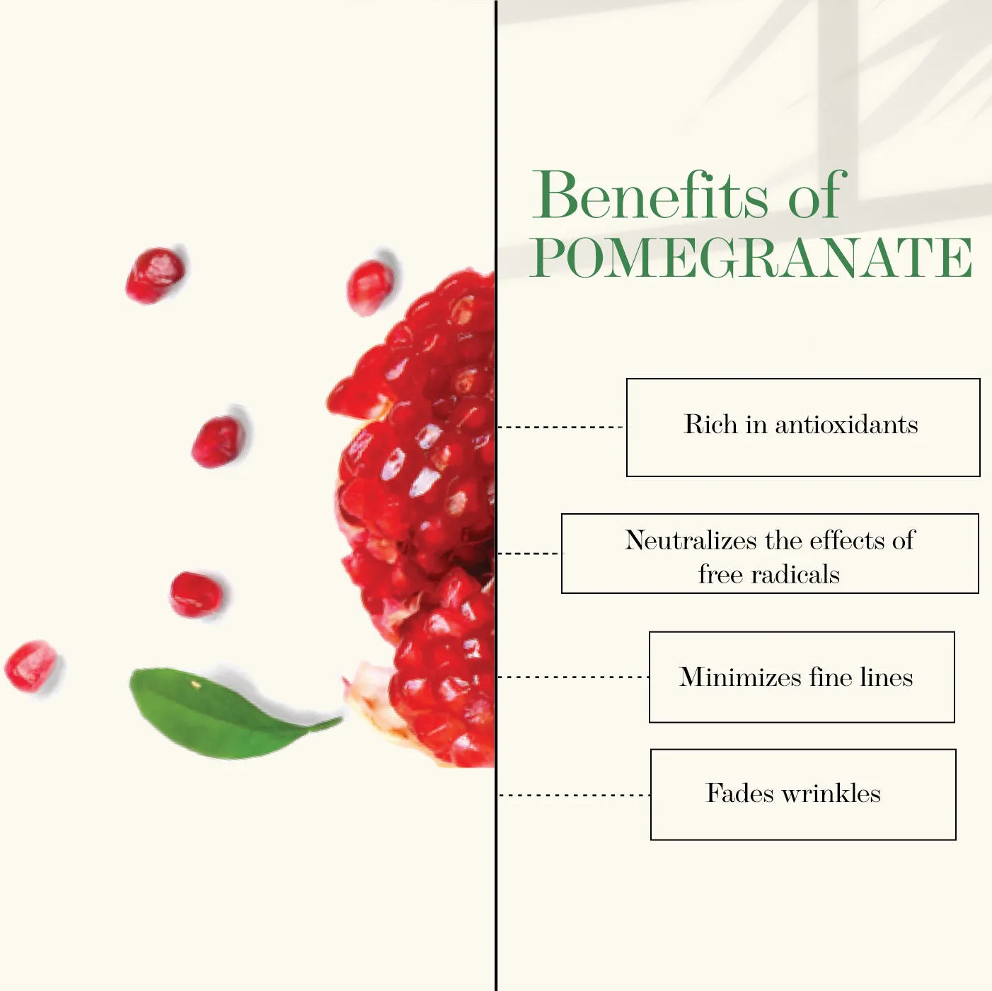 Pomegranate Rejuvenating Night Cream