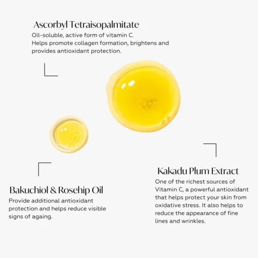 Probiotic Vitamin C Serum