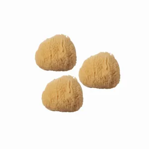 Silk Sea Sponge - Minis