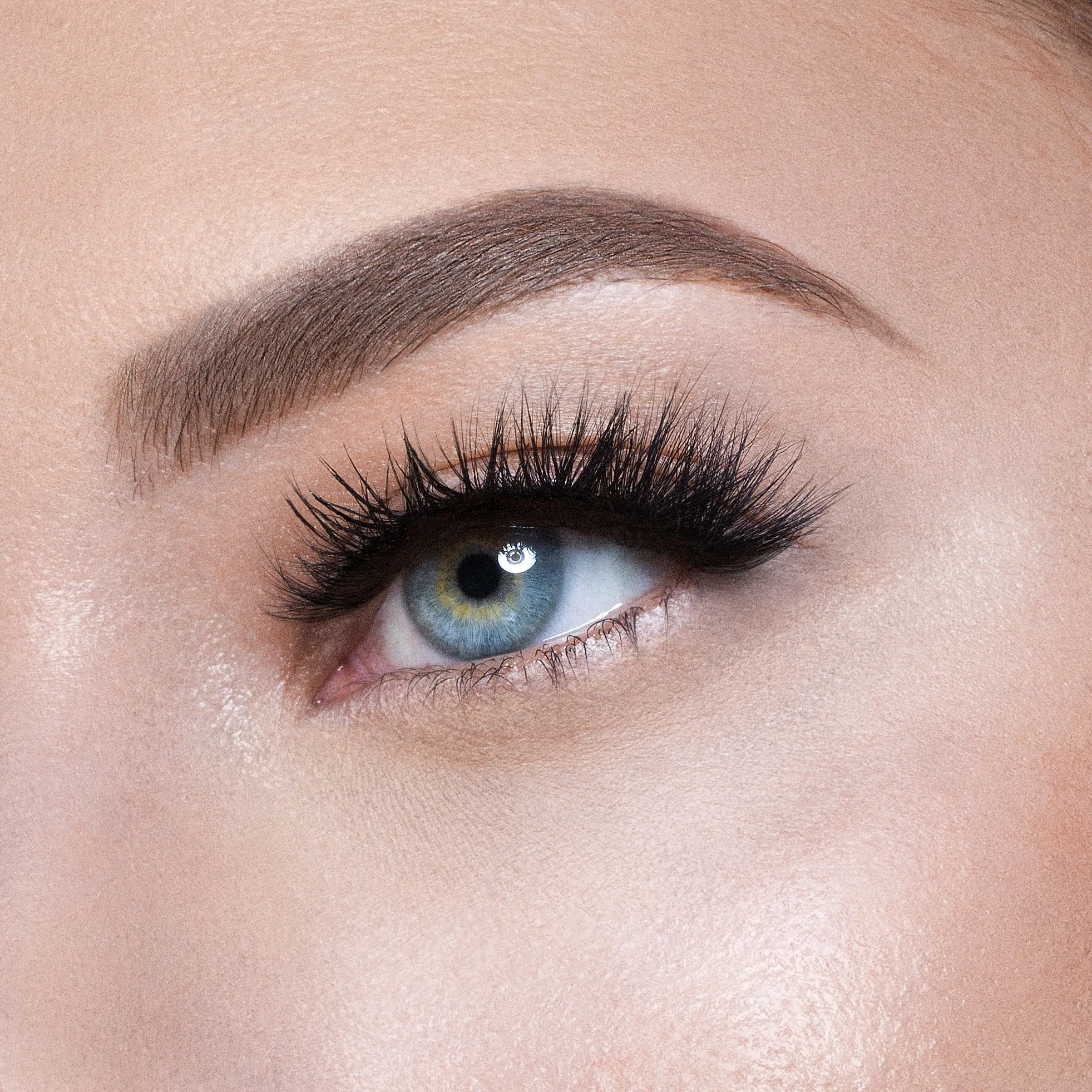 The Nubian Lashes - Kush