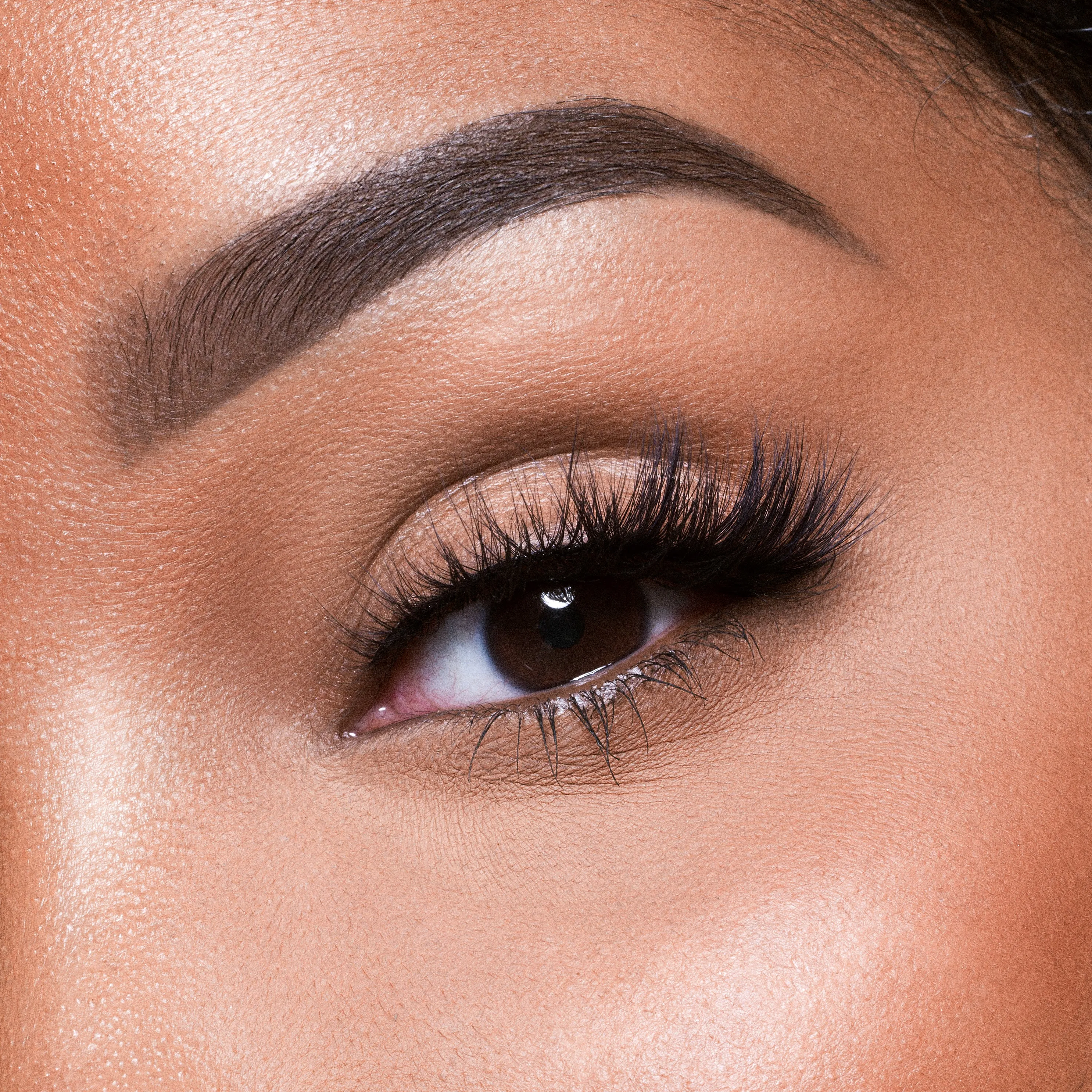The Nubian Lashes - Kush